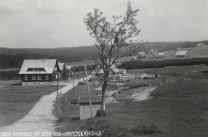 Skalno - Reprodukcja 39133