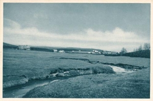 Skalno - Reprodukcja 39148