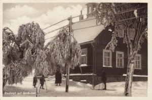 Skalno - Reprodukcja 39150