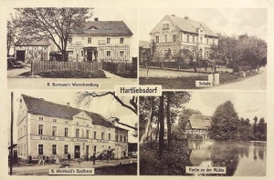 Skorzynice - Reprodukcja 39165
