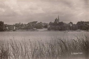 Lipiany - Reprodukcja 39268