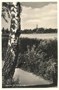 Lipiany - Reprodukcja 39284