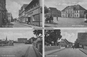 Wąsosz - Reprodukcja 39313