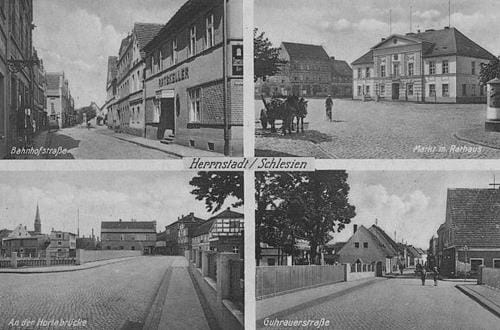 39313 (Copy).jpg
