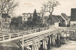 Wąsosz - Reprodukcja 39318