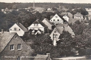 Wąsosz - Reprodukcja 39322