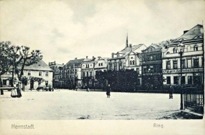 Wąsosz - Reprodukcja 39325