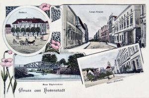 Wąsosz - Reprodukcja 39342