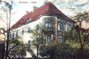 Wąsosz - Reprodukcja 39343
