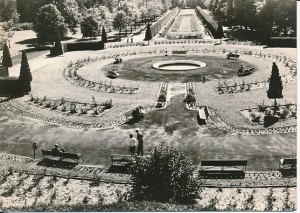 Kochcice - 019717