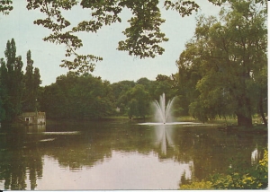 Racibórz - 019767