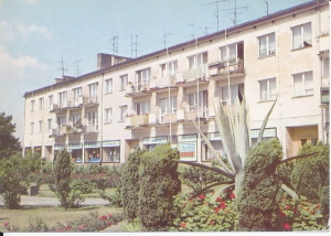 Dębno - 019770