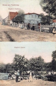 Czernina - Reprodukcja 39396