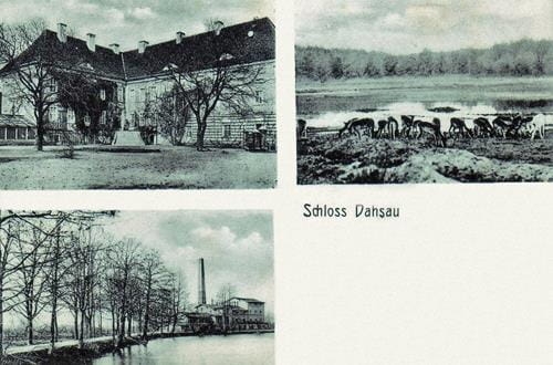 39411 (Copy).jpg