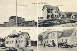 Niechlów - Reprodukcja 39488
