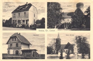 Osetno - Reprodukcja 39496