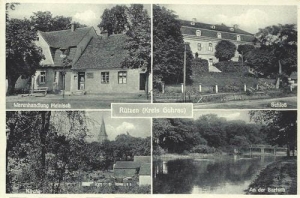 Ryczeń - Reprodukcja 39535