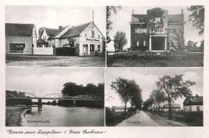 Szaszorowice - Reprodukcja 39576