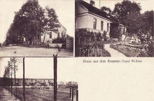 Wiewierz - Reprodukcja 39603