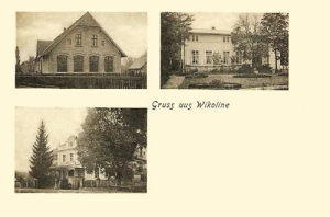 Wiklina - Reprodukcja 39609