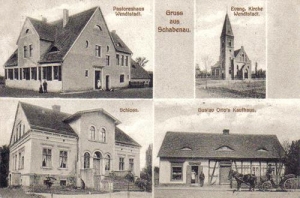 Żabin - Reprodukcja 39629