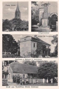 Żuchlów - Reprodukcja 39638