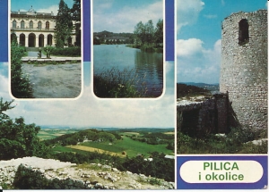 Pilica - 019871