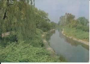 Sosnowiec - 019897