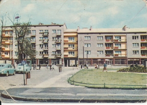Gorzów Wielkopolski - 019929