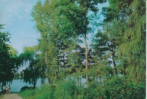 Międzychód - 020026