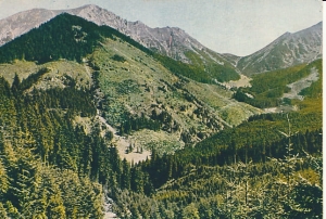 Tatry - 020044