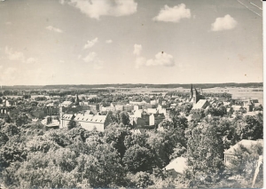 Lębork - 020219