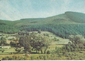 Szczyrk - 020462
