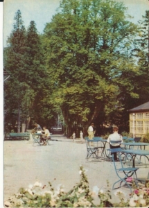 Długopole Zdrój - 020525