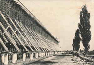 Ciechocinek - 020567