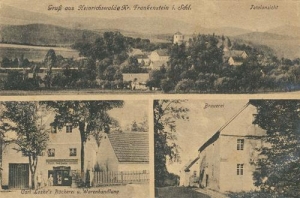 Laski - Reprodukcja 39645