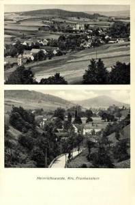 Laski - Reprodukcja 39650