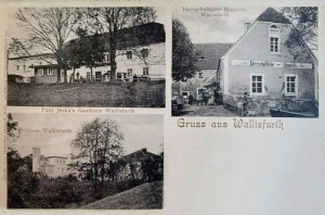 Wolany - Reprodukcja 39659