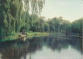 IMG_0003.jpg