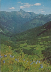 Tatry - 020647