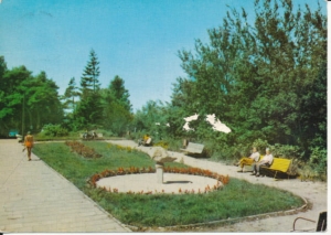 Jastrzębia Góra - 020681