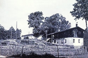 Wolany - Reprodukcja 39661
