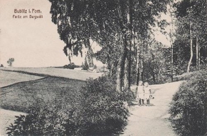 Bobolice - Reprodukcja 39748