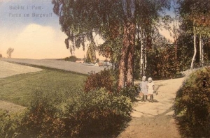 Bobolice - Reprodukcja 39749