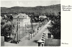 Polanów - Reprodukcja 39811