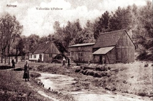 Polanów - Reprodukcja 39817