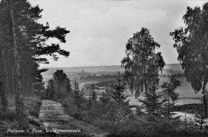 Polanów - Reprodukcja 39820