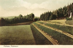 Polanów - Reprodukcja 39830