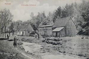 Polanów - Reprodukcja 39832