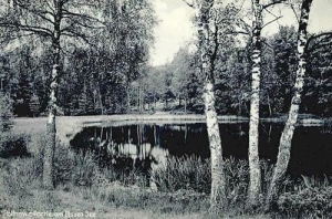 Polanów - Reprodukcja 39837
